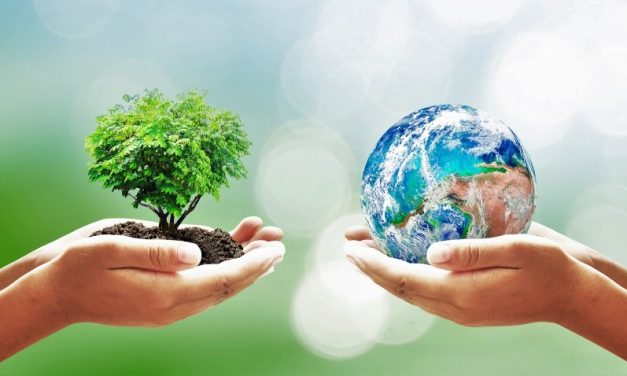 Cara Sederhana Cintai Bumi: 4 Kebiasaan Selain Earth Hour