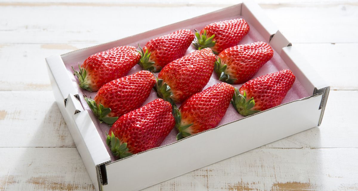 Stroberi Jepang Melambung: Dessert Paling Viral Dunia Di 2026