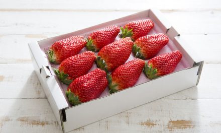 Stroberi Jepang Melambung: Dessert Paling Viral Dunia Di 2026