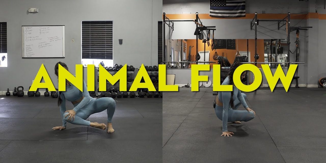 Mengenal Animal Flow: Olahraga Bebas Berat Badan Kekinian