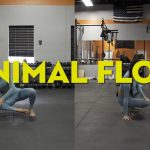 Mengenal Animal Flow: Olahraga Bebas Berat Badan Kekinian
