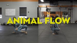 Mengenal Animal Flow: Olahraga Bebas Berat Badan Kekinian