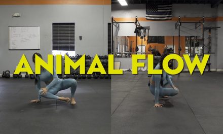 Mengenal Animal Flow: Olahraga Bebas Berat Badan Kekinian