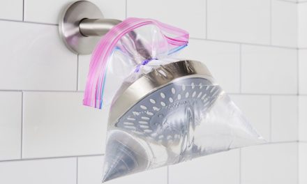 Trik Bersihkan Kerak Shower Membandel Pakai Cuka Putih