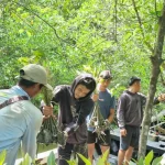 BRGM Perluas Area Pembasahan Gambut Di Pesisir Riau